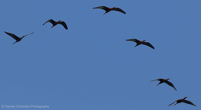 Vernon Chalmers Still a Canon EOS 7D Mark II User