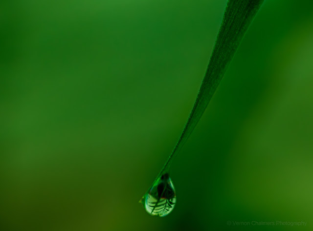 Vernon Chalmers: A Journey Through Meaning, Presence, and Perception