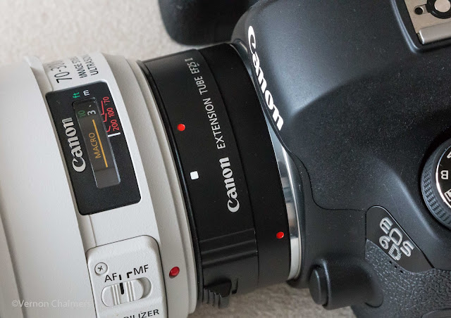 Canon EOS / Close-Up Lens Accessories Training Cape Town