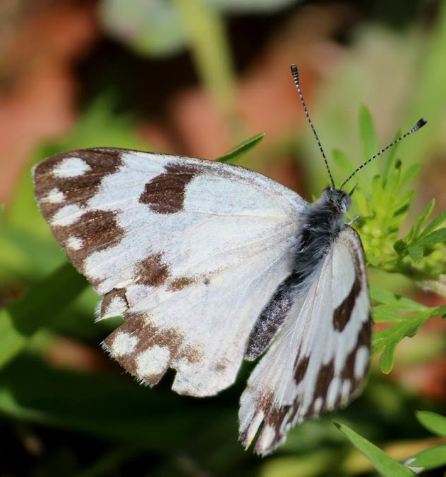 Canon Aperture and Depth of Field Samples