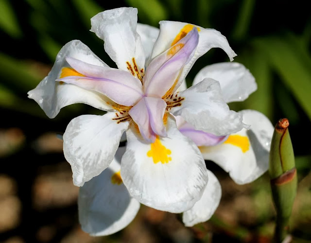 Canon Aperture and Depth of Field Samples