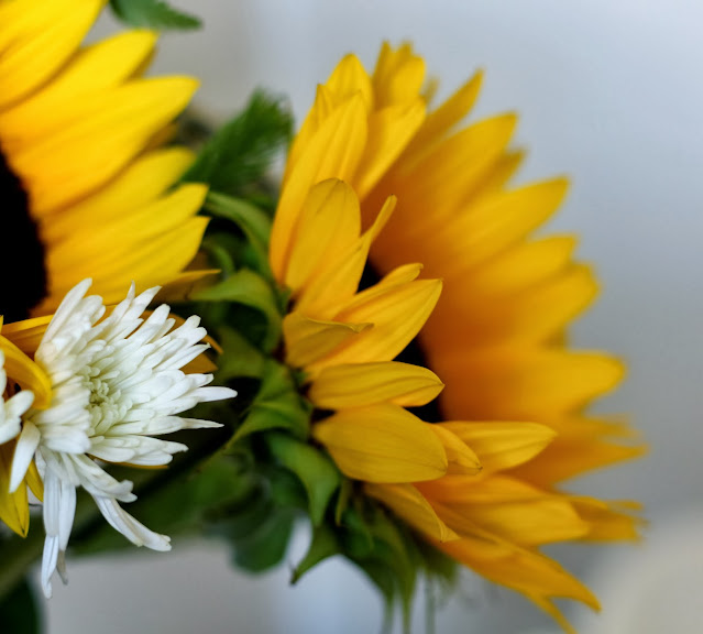 Canon Aperture and Depth of Field Samples