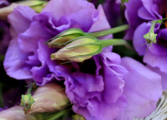 Canon Aperture and Depth of Field Samples