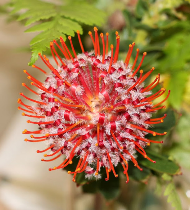 Canon Aperture and Depth of Field Samples