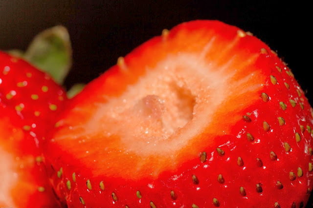 Canon Aperture and Depth of Field Samples