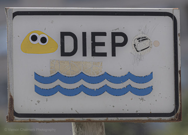 Red-Knapped Coot Enjoying Cleaning Water in the Diep River (2016) - They're Gone!