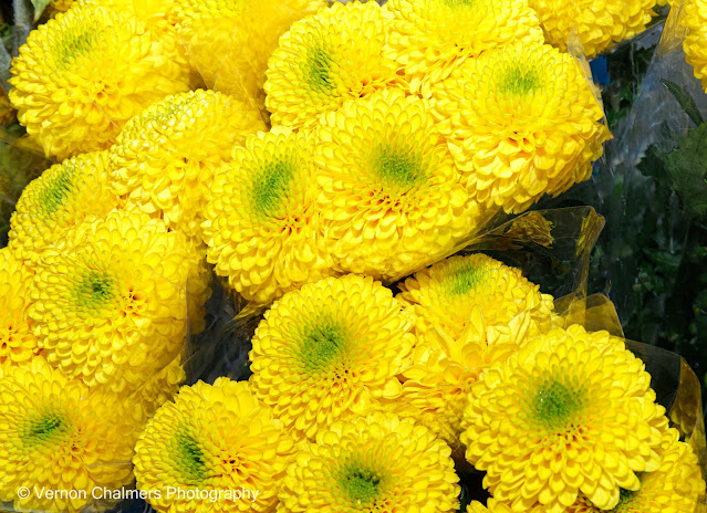 Fresh Flowers For Sale - The Paddocks, Milnerton