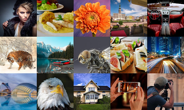 How to Make Money with your Camera and Photography