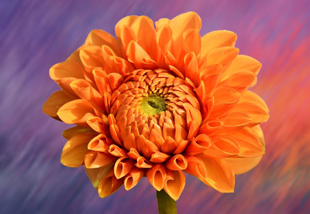 How to Make Money with your Camera and Photography