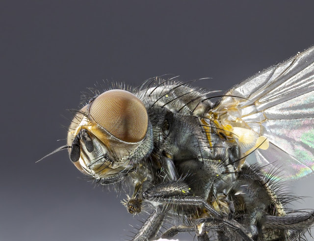 How to Make Money with your Camera and Photography