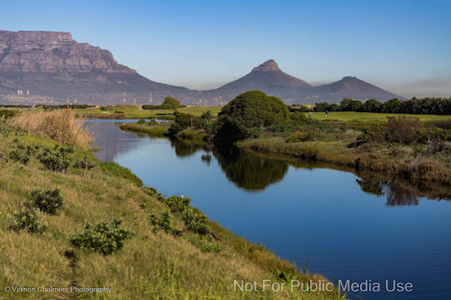 Table Bay Nature Reserve (2016) Copyright Vernon Chalmers