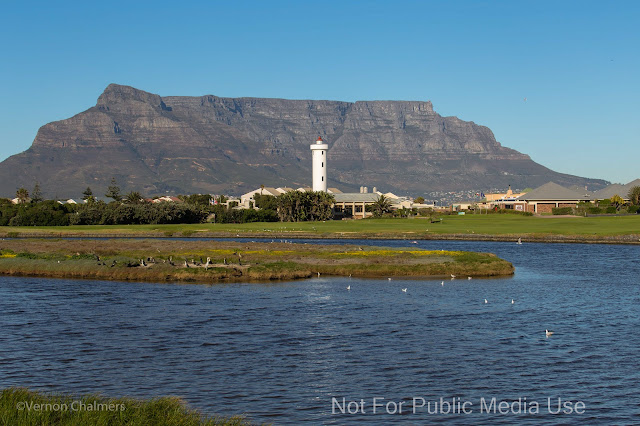 Poor Water / Sewage Management Table Bay Nature Reserve Copyright Vernon Chalmers