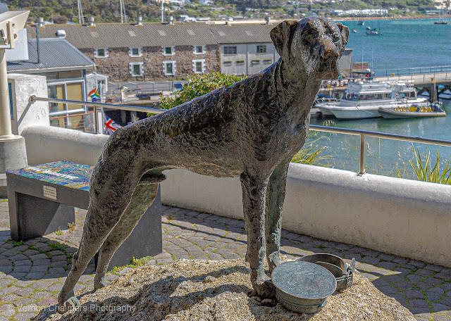Able Seaman Just Nuisance : Only Dog Officially Enlisted in the Royal Navy