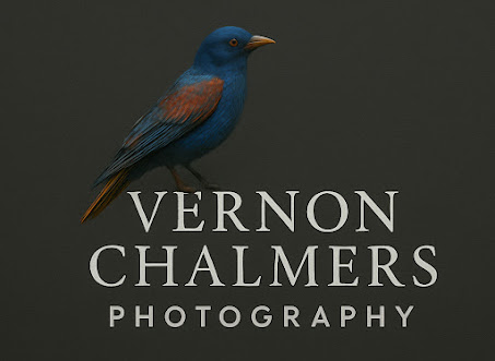 Vernon Chalmers Photography Profile