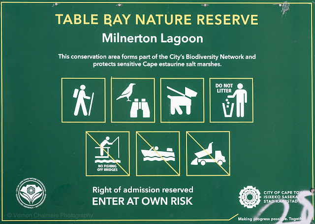 Water Updates Milnerton Lagoon, Woodbridge Island : Table Bay Nature Reserve