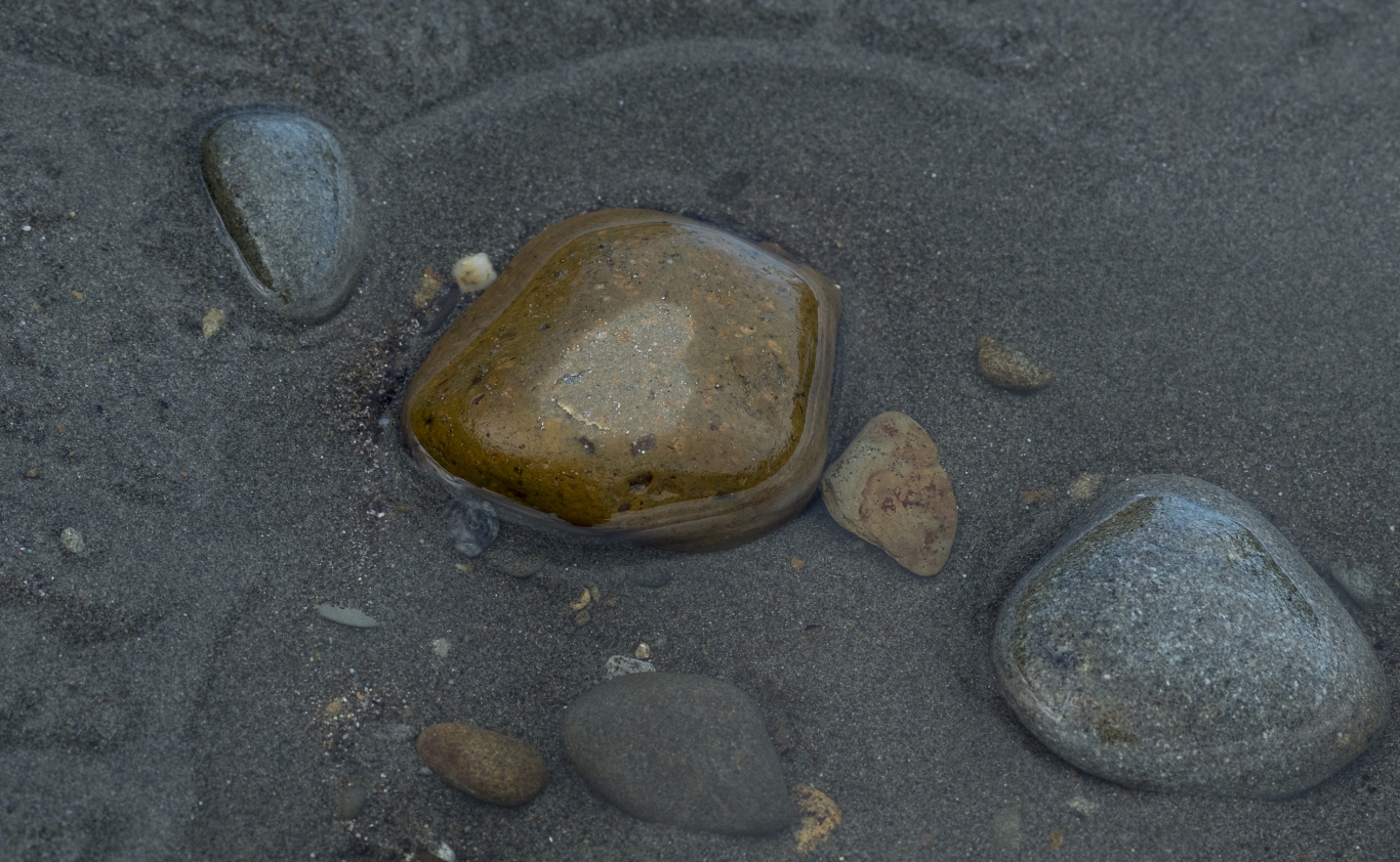 Ocean sand and rocks